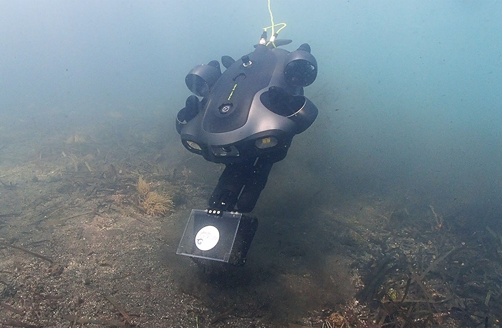 Read more about the article Marine Census: How technology can protect the marine environment